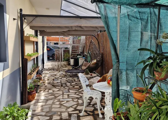 Pensjonat Nature Brava Ribeira Brava