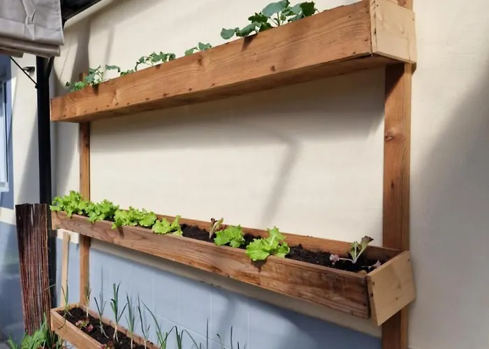 Pensjonat Nature Brava 3*